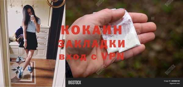 хмурый Осинники