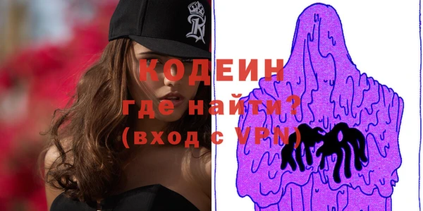 хмурый Осинники