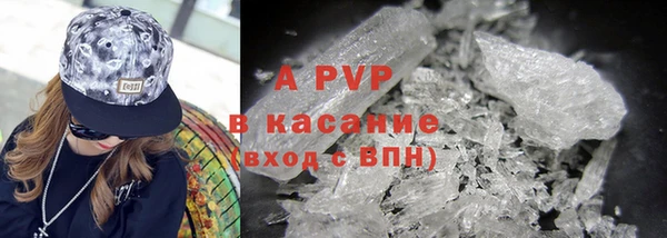 хмурый Осинники